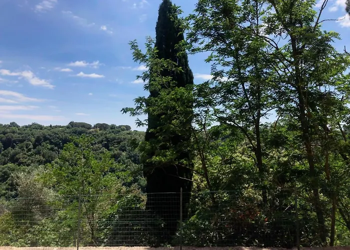 La Casa All\'Oliveto