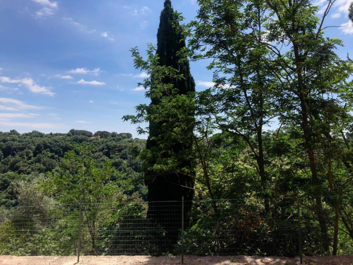 Apartment La Casa All'oliveto