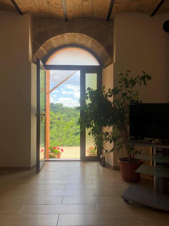 La Casa All'oliveto Apartment Pitigliano
